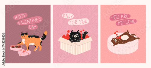 Valentine's Day and Love greeting cards with cute cats. Cat lying in bed, writes lovely messages, kitten sitting in gift box, cat with box chocolates. Flat vector concept for celebration print