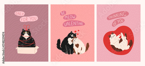 Valentine's Day and Love greeting cards with cute cats. Cats lying on heart pillow, kitten sitting in gift box, kitties sitting together. Flat vector concept for celebration print, poster, banner