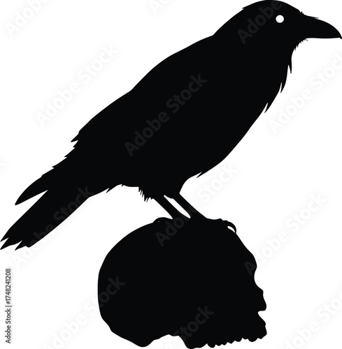 Halloween-Themed Action Scene Featuring a Black Silhouetted Crow on a Skull, Set Against a Stark White Background for Spooky Graphic Designs