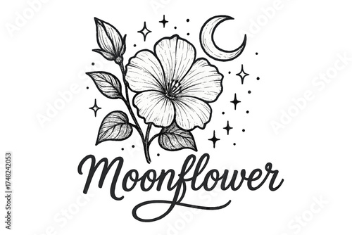 Moonflower Artistry. Hand-drawn moonflower with moons, petals, and sparkles, center word “Moonflower” in black and white isolated