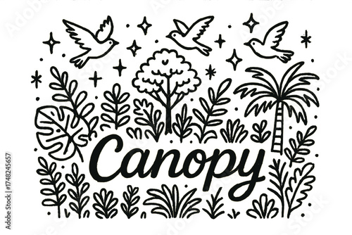 Rainforest Canopy Doodle. Doodle rainforest canopy with stars, sparkles, and birds, center word “Canopy” in black and white