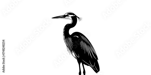 Silhouette of a heron bird