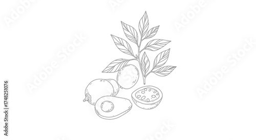 Please provide the sentence and tags so I can generate the image name for you