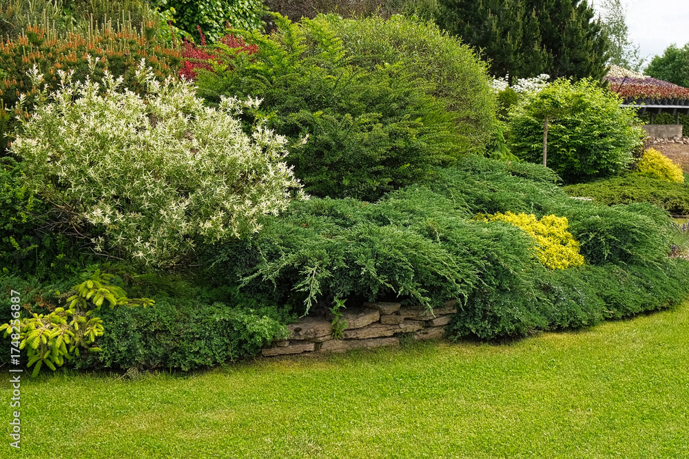 Naklejka premium Frontyard Paver Walkway. Beautiful Ornamental Garden landscape design. Path made of natural stones, gravel. Landscaping modern trend. Lawn, shrubbery in the backyard. Abundance Of Plants Shrubs, Trees