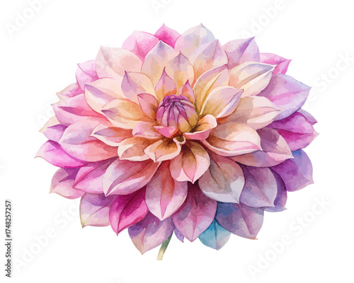 Dahlia Watercolor Illustration for Floral Art vector illustration