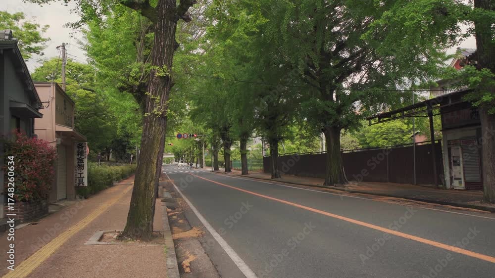 custom made wallpaper toronto digitalCity Of Tenri, Nara, Japan - 2 may 2025 Tenri City Street Lined with Gingko Trees
