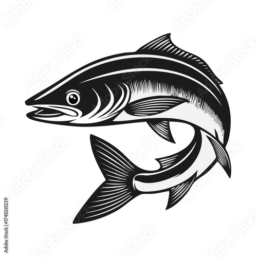 Illustration of a leaping salmon fish in black and white graphic style