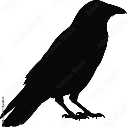 raven silhouette in profile with curved beak and pointed tail on white background