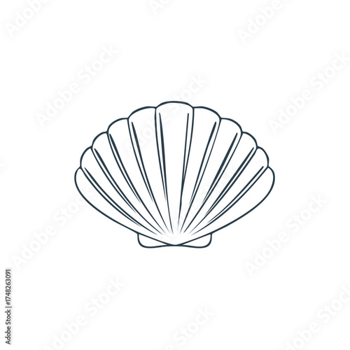 Simple Scallop Seashell Outline Drawing Ocean Graphic