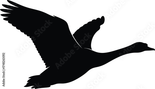 goose silhouette in flight with extended wings and forward neck on white background