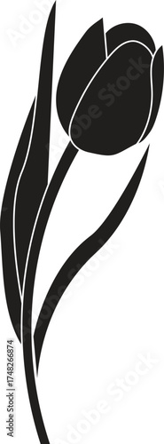 Monochrome Tulip Flower Vector Illustration
