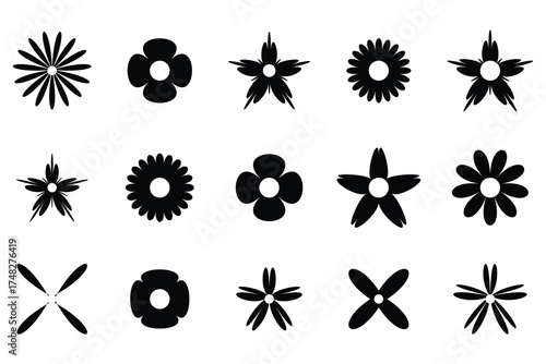 Set of flowers icon. Daisy flowers Vector, daisy chamomile icon, vector illustration.