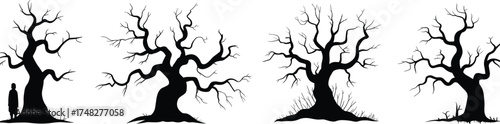Black and white silhouette illustration of leafless trees, eerie forest landscape, spooky nature design for Halloween, fantasy, or gothic art