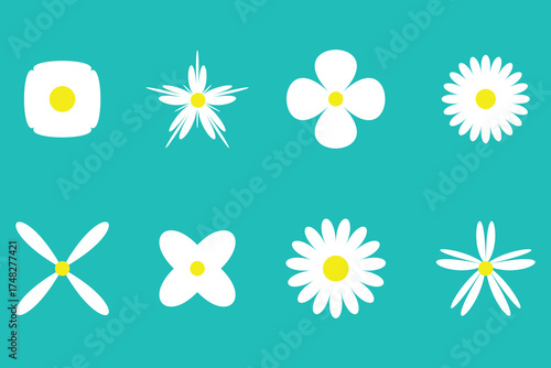Set of flowers icon. Daisy flowers Vector, daisy chamomile icon, vector illustration.
