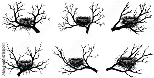  Bird nest on tree branch silhouettes, nature and wildlife vector illustration, black forest elements for spring season, natural habitat, and environment design