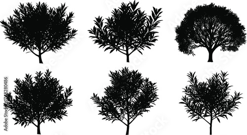  Bush and small tree silhouette vector set, natural plant illustration for landscape design, forest, garden, ecology, nature, and botanical environment artwork.