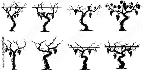  Grape vine silhouette vector collection, vineyard plants illustration, wine agriculture design elements, black and white grape branches, winery harvest, and nature artwork