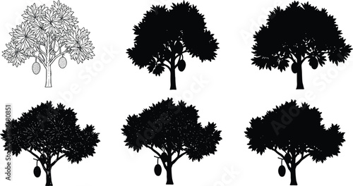  Jackfruit tree silhouette vector set, tropical fruit tree illustration, black and white botanical design, agriculture and nature concept for vector art and print.