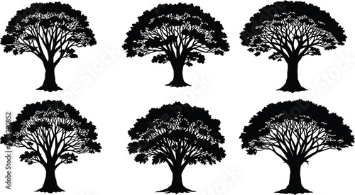  Large tree silhouette vector set, natural forest illustration, black tree design for landscape art, outdoor nature elements, eco forest graphic for decoration.