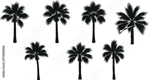  Palm tree silhouette vector set, tropical beach black illustration, summer island landscape design for nature, vacation, travel, and exotic paradise concept art.