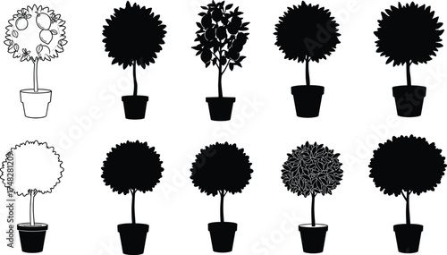  Potted plant silhouette collection, topiary tree vector set, indoor decorative plants design, gardening illustration, black nature shapes for home and landscape art.
