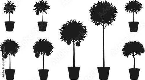  Potted plant tree silhouettes collection, indoor and outdoor plant vector illustration, decorative greenery design set, black botanical art isolated icons