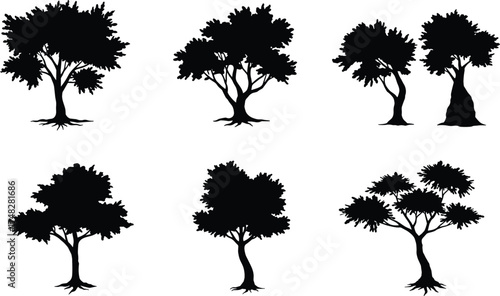  Tree silhouette vector set, natural forest illustration, black acacia and oak trees collection, landscape nature design elements, isolated shapes for outdoor graphic art.