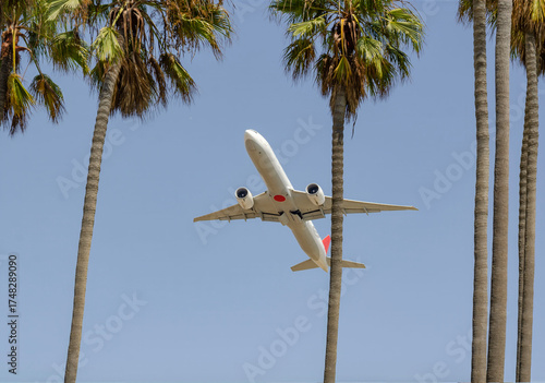 Los Angeles, California, beach under the airfield Airplane flying on blue sky Low flying airplane above tall palm trees under clear blue sky on tropical sunny day near airport