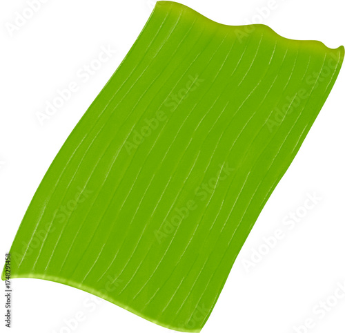 Watercolor Banana Leaf