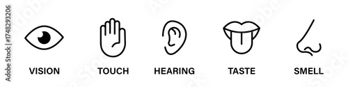 Five human senses flat vector icon set. Vision touch hearing taste smell senses collection. Human fillings icons. Human nervous system senses. Eye hand ear mouth nose icons set. Line icons. Vector EPS