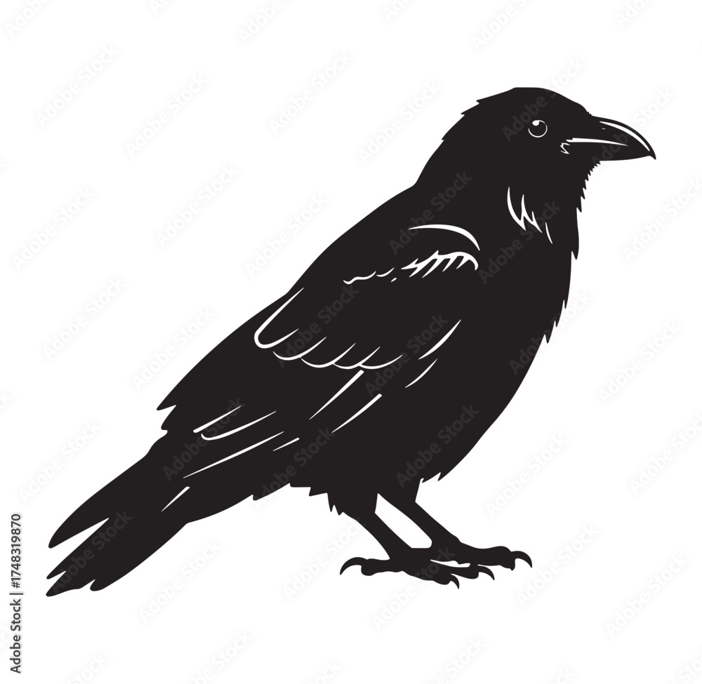 Fototapeta premium Silhouette illustration of a crow standing proudly on a white background