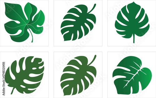 A versatile vector set of green leaves, trees, and floral elements, perfect for nature, eco, and organic design illustrations