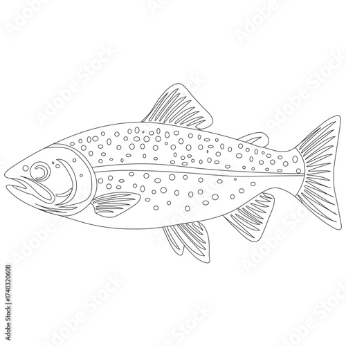 Trout Fish icon, Logo vector