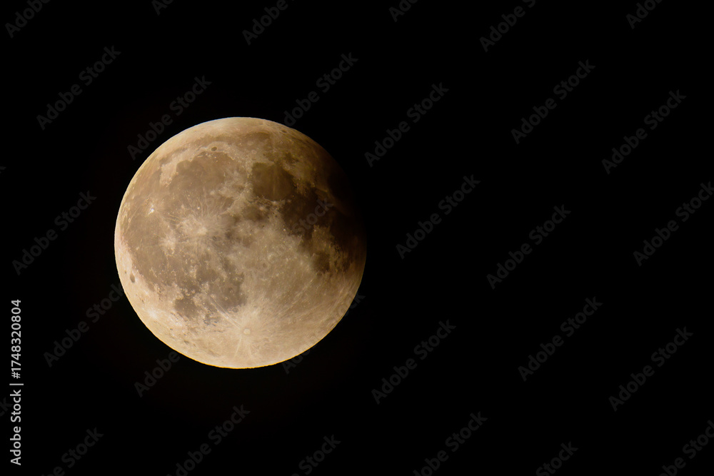 Naklejka premium total lunar eclipse a special phenomenon 