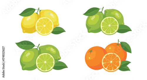 A vibrant collection of citrus fruits including lemons limes and oranges.