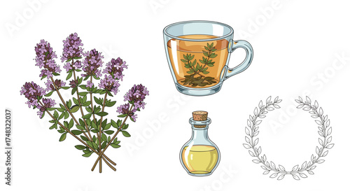 Fresh thyme herb tea and essential oil for natural wellness.