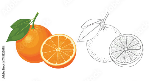 A whole orange and a sliced orange with leaves.