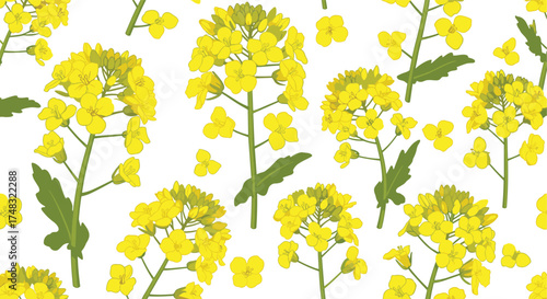 A seamless pattern of yellow rapeseed flowers with green leaves.