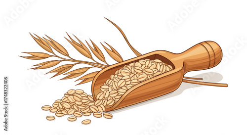 A wooden scoop filled with oat grains next to a stalk of wheat.