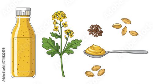 A vibrant collection showcasing the journey of mustard from plant to condiment.