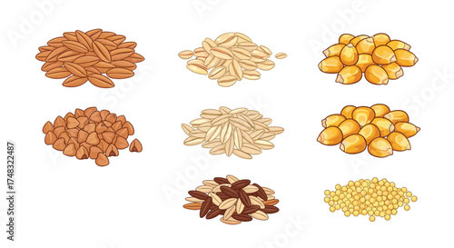 A collection of various types of nuts and seeds shown in piles.