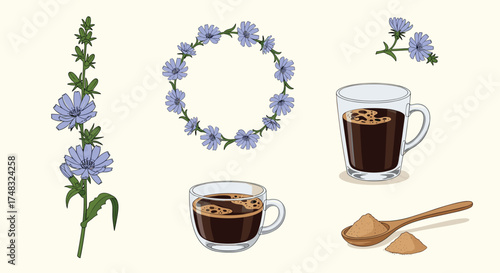 A beautiful collection of chicory flowers coffee and related items.