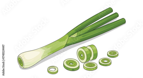 A bunch of green onions with sliced pieces on a white background.