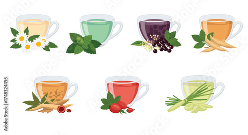 Collection of herbal infusions in glass cups with ingredients.