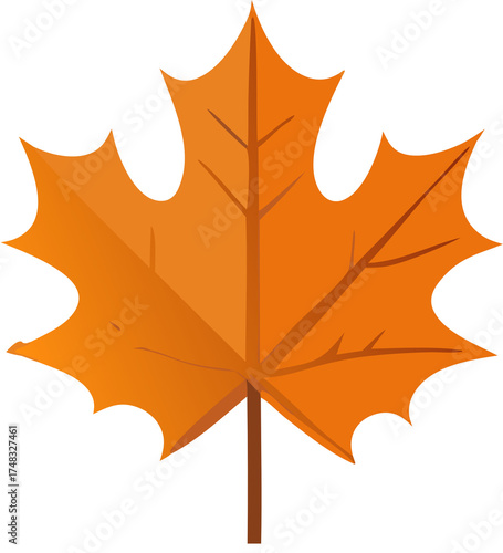 maple leaves