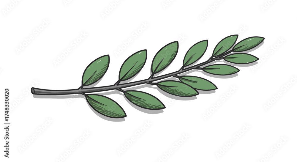 Obraz premium Hand-drawn green leaf branch on white background