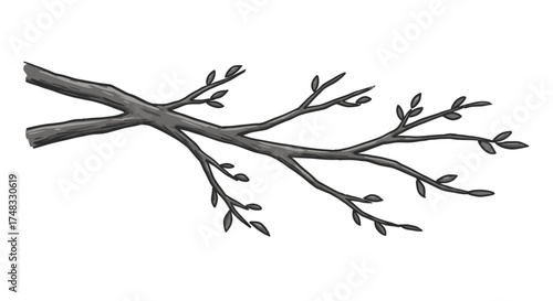 Realistic tree branch with leaves on white background