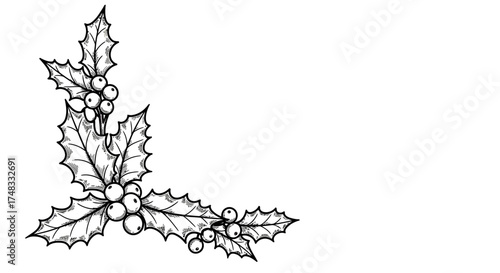 Hand drawn holly leaves and berries corner design for holiday decorations