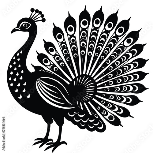 vector illustration of a peacock