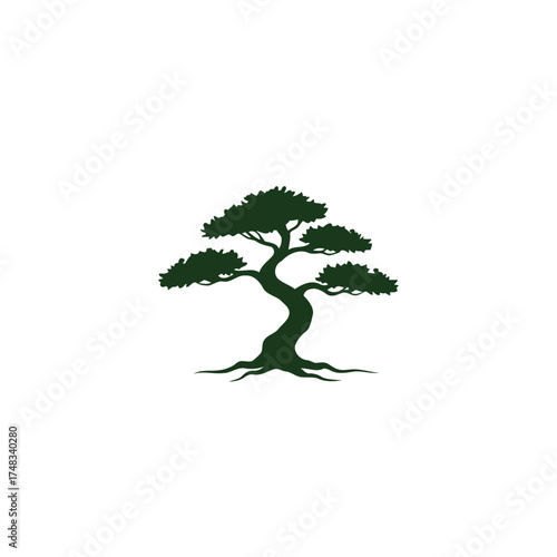 Dark Green Minimalist Bonsai Tree Vector Silhouette Illustration with Gnarled Trunk and Exposed Roots